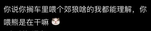 西藏一县有垃圾场现大量藏马熊觅食_自驾西藏投喂藏马熊事件_藏马熊攻击力与危险性分析