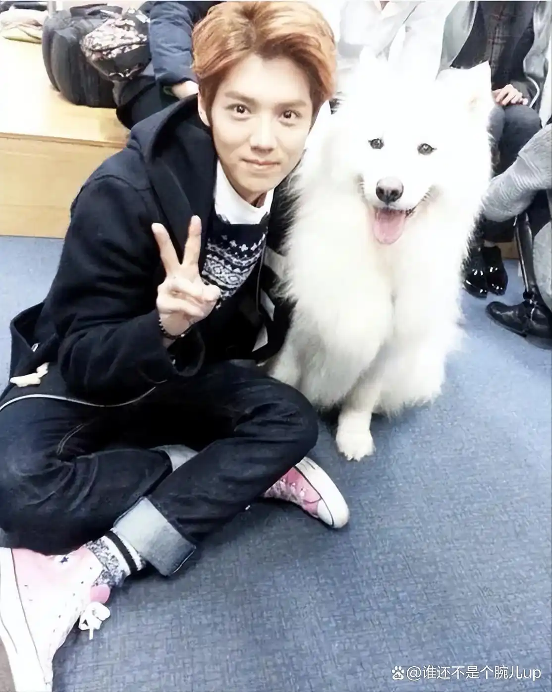 吴亦凡鹿晗的照片大全_鹿晗生日现状_鹿晗家世背景