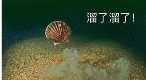 滴滴网约车乘客失联事件_警方通报乘客在网约车内喊“救命”_滴滴公司回应乘客失联