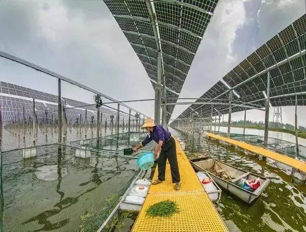 江苏省天岗湖光伏碍洪问题整治_泗洪天岗湖光伏发电基地节地技术应用_泗洪 天岗湖