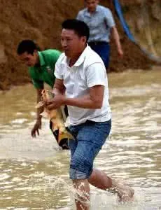 捕鱼的几种方法？