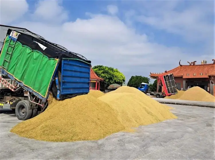 中国近半年没买过美国一粒大豆_中国大豆进口南美地区分析_美国大豆出口中国市场下降