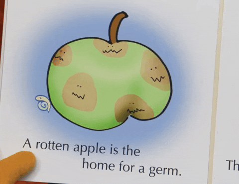 siri中文版_Apple Intelligence入华受阻_Siri升级延期
