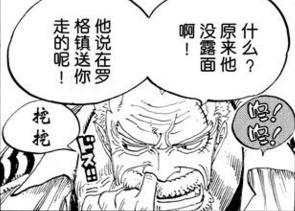 卡普与革命军私通真相_海贼王细节隐藏的秘密_海贼王邪恶漫画全集图片