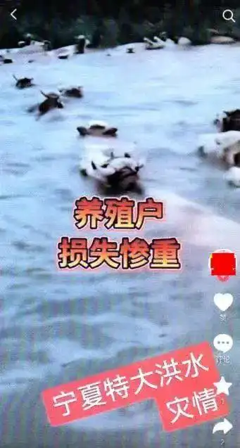 防汛抗灾造谣处罚_净网：多人发布虚假天气信息被罚_发布不实信息网警处理