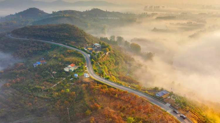 牛肉面馆一碗“管饱面”全网爆火_武汉免费续面网红店_襄阳多加面溢出视频
