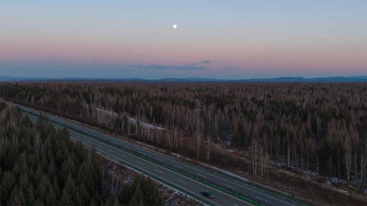 武汉免费续面网红店_牛肉面馆一碗“管饱面”全网爆火_襄阳多加面溢出视频