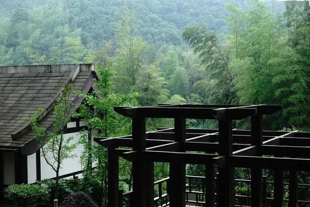 般若舟 || 明影法师：禅修中的调心（三）