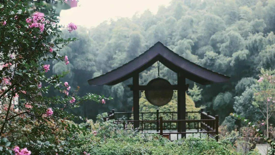 禅修中的调心_幻影修心_心的本质探讨