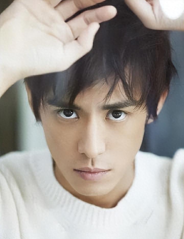 陈楚河 演艺生涯 星探发现_陈楚河黄金单身汉吻戏_陈楚河 父亲 黑帮教父