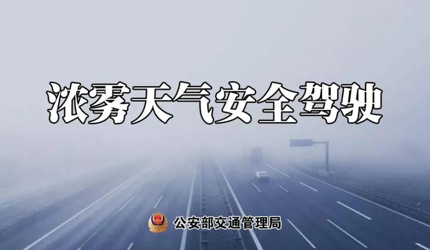 大雾预警升级为橙色!多地有特强浓雾_冷空气过程 山东 大雾预警
