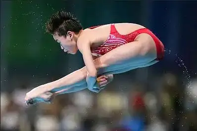 全运会开幕式有“广东特产”狮头鹅_第十四届全运会 广东代表团 金牌 数量_全运会 奥运冠军 竞技水平