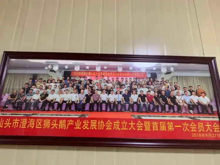 广东高速公路发展历程_潮汕卤鹅文化特色_全运会开幕式有“广东特产”狮头鹅