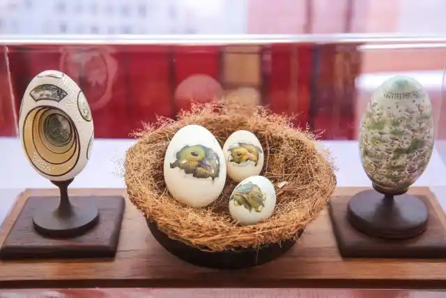 全运会开幕式有“广东特产”狮头鹅_汕头澄海狮头鹅产业_澄海狮头鹅文化节