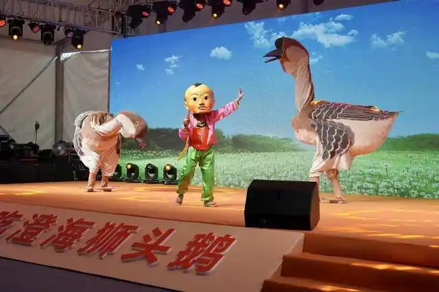 澄海狮头鹅产业集群发展_汕头澄海狮头鹅文化节_全运会开幕式有“广东特产”狮头鹅
