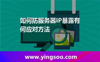 网络服务器