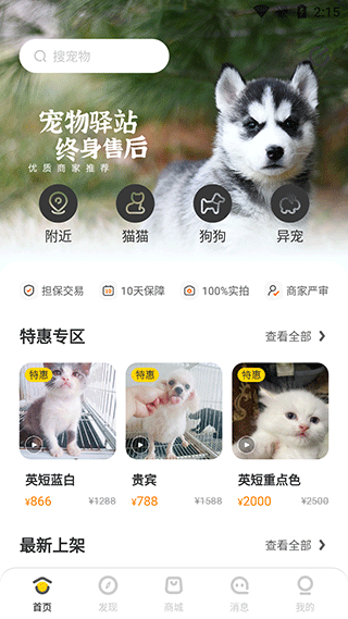 买只宠物怎么用?