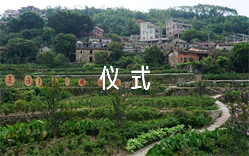 签约仪式新闻稿范文(精选6篇)