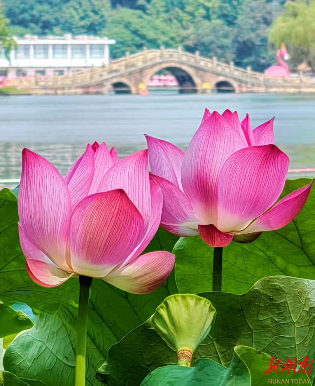 老年新闻摄影培训_新闻摄影题材_老年人杂志社通讯员培训