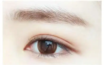 天生命运分析_眉毛形状测试_测测你天生是什么命