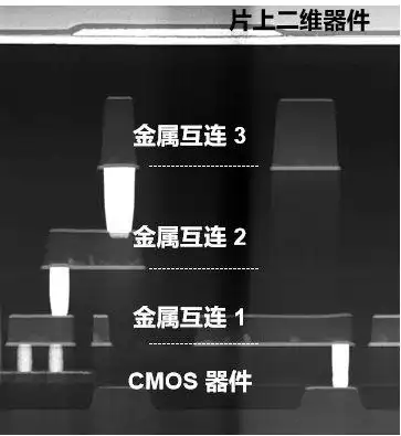 全球首颗！中国研发全新架构闪存芯片_复旦大学二维电子器件_二维-硅基混合架构闪存芯片