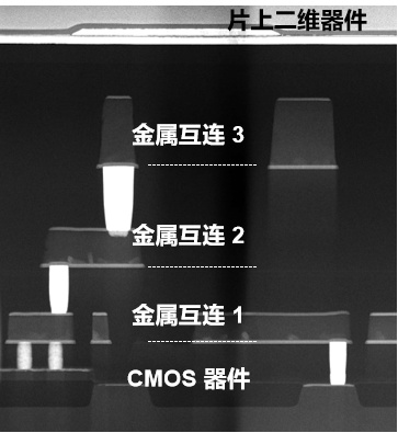 二维超快闪存器件_全球首颗！中国研发全新架构闪存芯片_长缨架构芯片