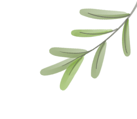 双减政策下的学业评价方式_智力闯关_趣味闯关活动