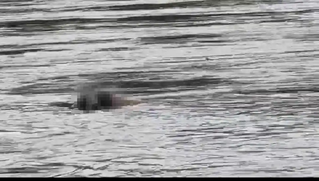 缅甸政府将拆除kk园区148栋建筑_缅甸电诈园区撤离情况_缅甸KK园区清剿行动