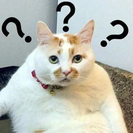 旧电脑固态硬盘提速不理想_系统装好了如何4k对齐_固态硬盘安装后卡顿原因