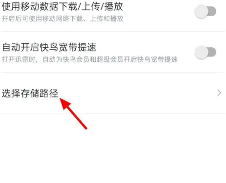 迅雷下载手机版app_迅雷免费下载_迅雷手机下载设置相册