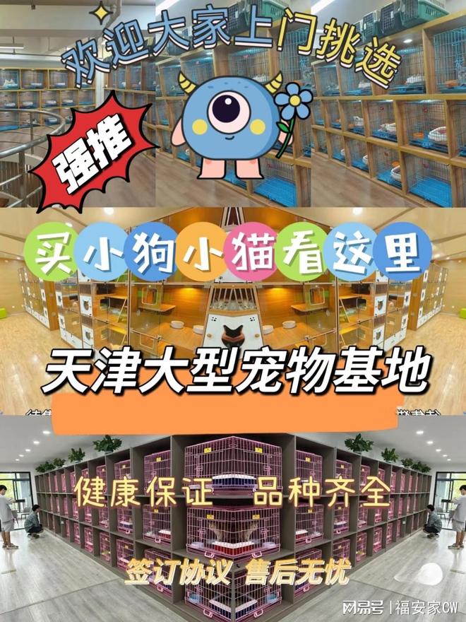 天津哪里可以实体店看宠物，这里可实体店放心一对一挑选宠物！
