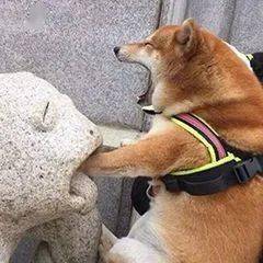 妈妈给宝宝喂奶_母乳喂养不顺利_开奶困难怎么办