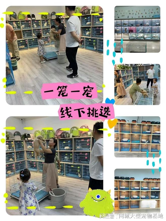 天津来福乐猫犬舍北辰店_天津宠物领养中心_天津比熊