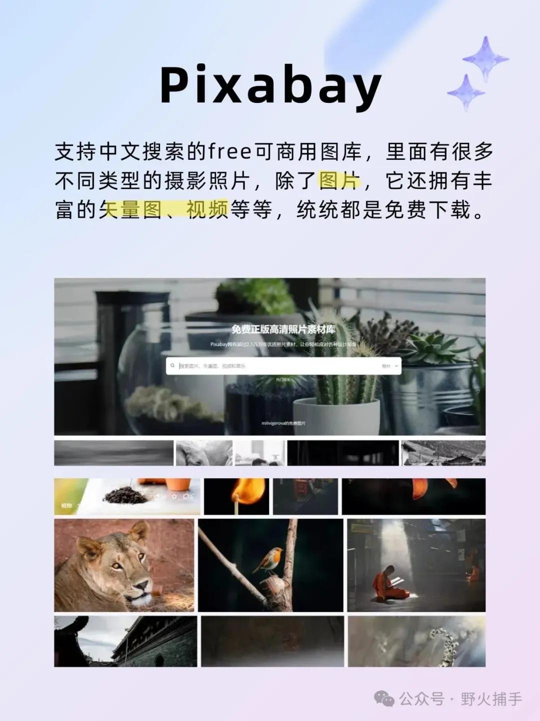 好的电影网站 更新快高清_免费高清图片素材网站_免版权图库推荐