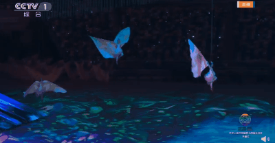 第十四届全运会开幕式_揭秘全运会开幕式四大“名场面”_全运会运动员入场式