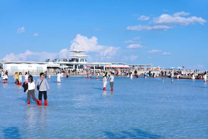 茶卡盐湖游客突破200万_茶卡盐湖天空之镜庆祝活动_游客将茶卡盐湖铺路盐成袋装走