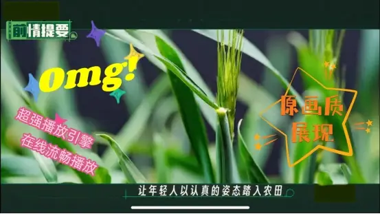 网易爆米花非会员解锁_百度电视云不能用_电视端看百度网盘视频神器