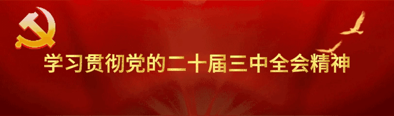 中国式现代化新征程_2025年新闻短评100字_习近平总书记新年贺词