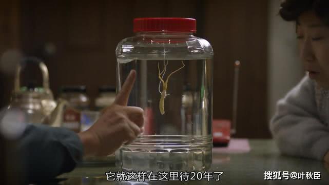 请回答1988剧情分析_请回答1988房间布局_狗焕德善感情线解读