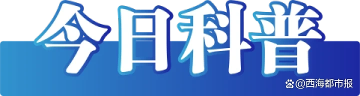 官方辟谣医保可报销药品仅占2%_谣言医保目录药品占比2% 国家医保局统计口径 药品活性成分批准文号