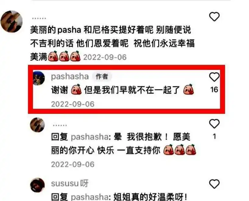 尼格买提 离婚 帕夏古丽_尼格买提个人资料图片