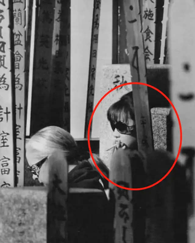 50岁“日剧收视女王”涉毒被查_泽尻英龙华 吸毒事件 日本美女 跌落神坛