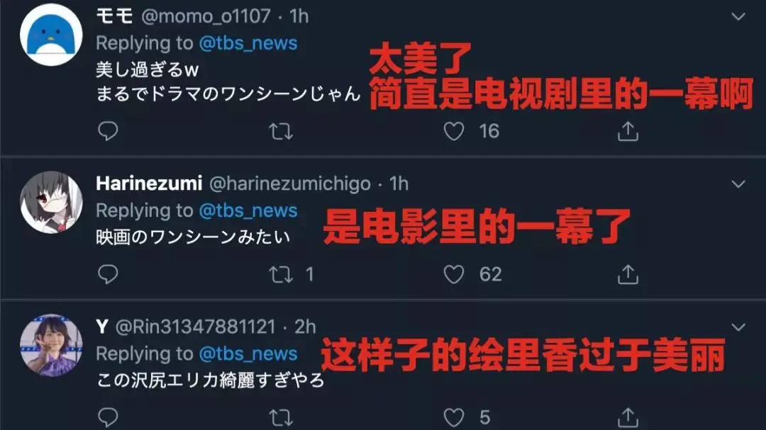 50岁“日剧收视女王”涉毒被查_泽尻英龙华 吸毒事件 日本美女 跌落神坛