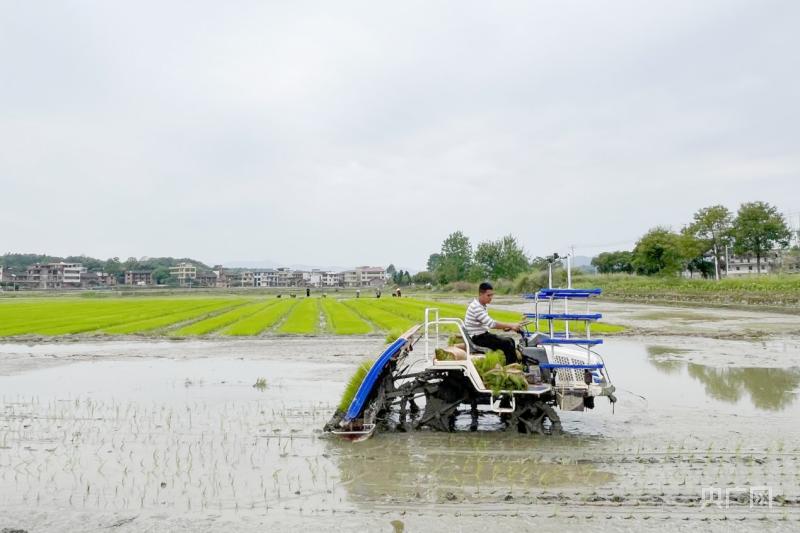 湖南邵东：万亩农田春耕忙  稳粮增收“底气足”