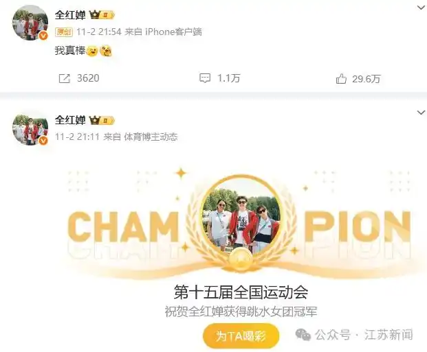 全红婵带伤参赛全运会情况_陈芋汐全运会女子10米跳台夺金_全运会女子双人10米台预赛结果