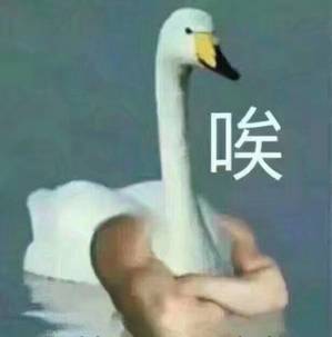 360极速浏览器和安全浏览器有什么区别_App开屏广告整治_PC端网络弹窗调查