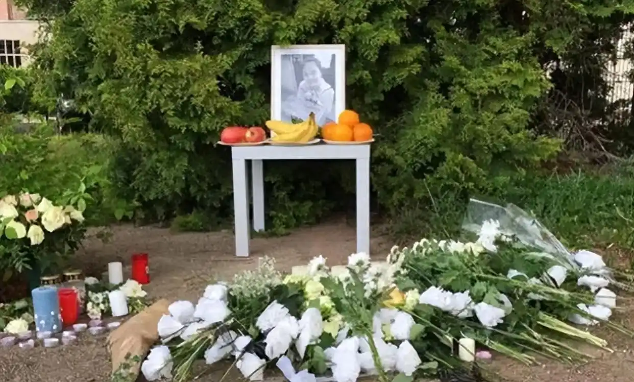 李洋洁德绍谋杀案_李洋洁案件细节_中国留学生德国被害事件