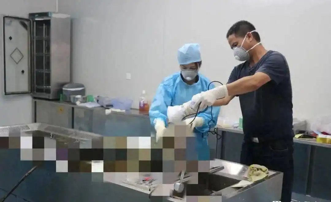 李洋洁德绍谋杀案_李洋洁案件细节_中国留学生德国被害事件