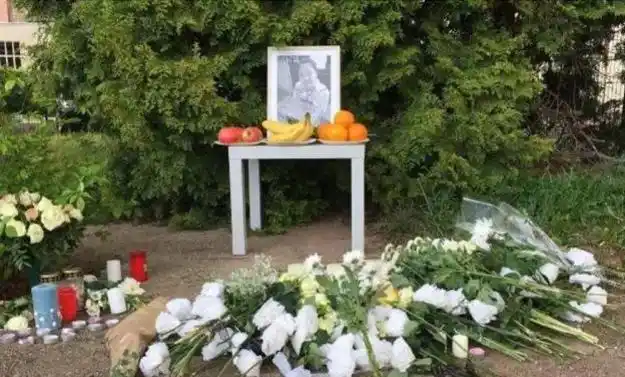 李洋洁案件细节_李洋洁德国遇害事件_中国女孩留学德国被情侣奸杀