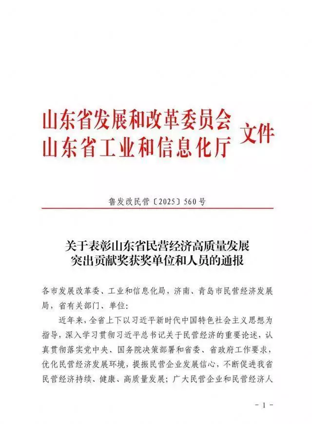 山东省民营经济高质量发展突出贡献奖名单公布 广饶这些企业和集体上榜